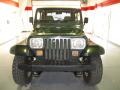 1995 Moss Green Pearl Jeep Wrangler Rio Grande 4x4  photo #6