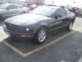 2008 Alloy Metallic Ford Mustang V6 Deluxe Coupe  photo #12