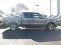 2010 Sterling Grey Metallic Ford F150 FX2 SuperCrew  photo #3