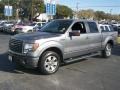 2010 Sterling Grey Metallic Ford F150 FX2 SuperCrew  photo #16