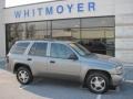 Graystone Metallic 2008 Chevrolet TrailBlazer LS 4x4