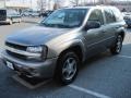 Graystone Metallic - TrailBlazer LS 4x4 Photo No. 3