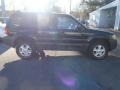 2003 Black Clearcoat Ford Escape XLT V6  photo #3