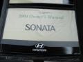 2004 Ebony Black Hyundai Sonata V6  photo #4