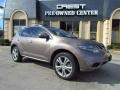 2011 Tinted Bronze Nissan Murano LE  photo #5