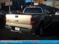 2004 Arizona Beige Metallic Ford F150 XLT SuperCrew 4x4  photo #2