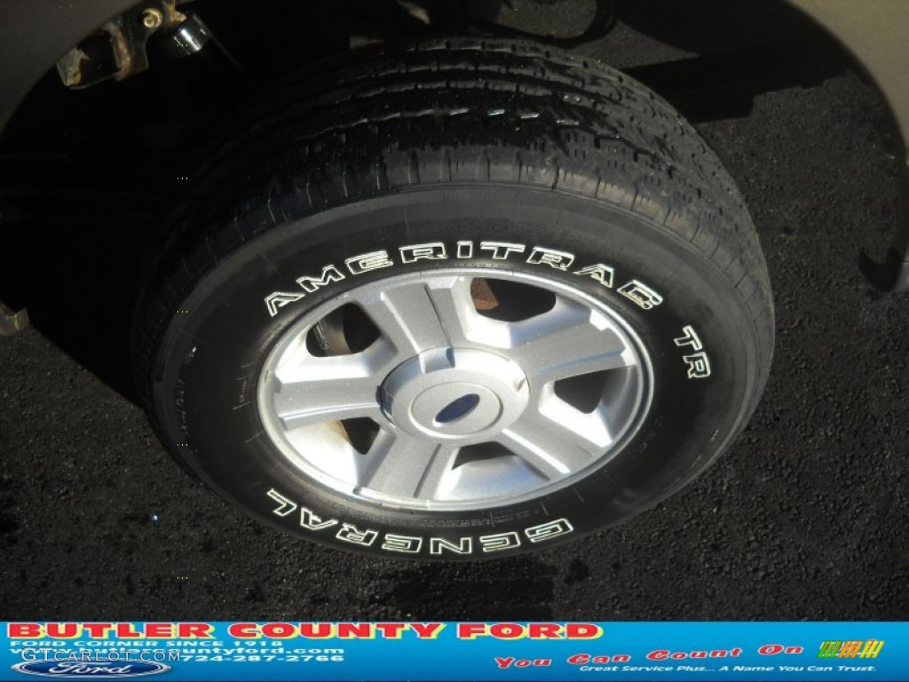2004 F150 XLT SuperCrew 4x4 - Arizona Beige Metallic / Tan photo #13