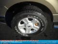 2004 Arizona Beige Metallic Ford F150 XLT SuperCrew 4x4  photo #15