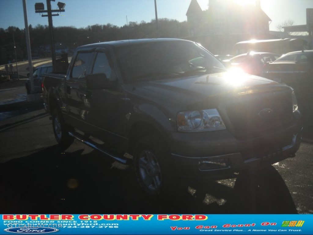 2004 F150 XLT SuperCrew 4x4 - Arizona Beige Metallic / Tan photo #18