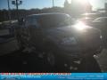 2004 Arizona Beige Metallic Ford F150 XLT SuperCrew 4x4  photo #18