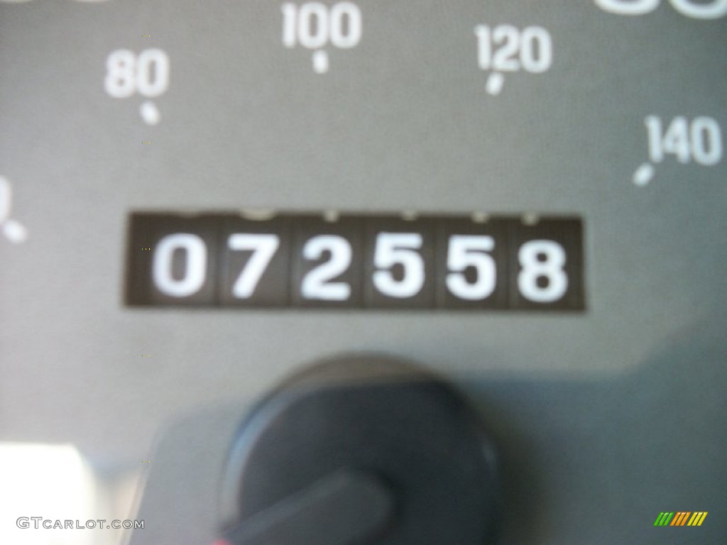 2004 Grand Marquis GS - Gold Ash Metallic / Medium Parchment photo #10