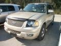 Pueblo Gold Metallic 2006 Ford Expedition Limited