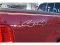 2006 Dark Toreador Red Metallic Ford F150 XLT SuperCrew 4x4  photo #19