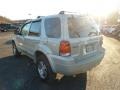 2005 Gold Ash Metallic Ford Escape Limited 4WD  photo #4