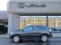 Smokey Granite - RX 350 AWD Photo No. 2