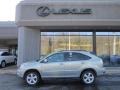 Bamboo Green Pearl - RX 350 AWD Photo No. 2