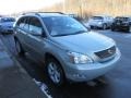 Bamboo Green Pearl - RX 350 AWD Photo No. 6