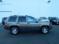 Char Gold Satin Glow - Grand Cherokee Laredo 4x4 Photo No. 6