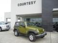 Rescue Green Metallic - Wrangler X 4x4 Photo No. 1