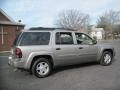 Light Pewter Metallic - TrailBlazer EXT LS 4x4 Photo No. 8