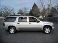 Light Pewter Metallic - TrailBlazer EXT LS 4x4 Photo No. 9
