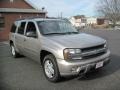 Light Pewter Metallic - TrailBlazer EXT LS 4x4 Photo No. 11