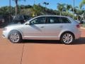 Ice Silver Metallic - A3 2.0T Photo No. 2