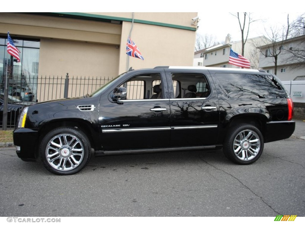 Black Ice 2010 Cadillac Escalade ESV Platinum AWD Exterior Photo #59280078