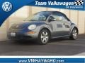 Platinum Grey - New Beetle 2.5 Convertible Photo No. 1