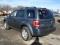 Steel Blue Metallic - Escape XLT V6 4WD Photo No. 6