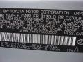 Mercury Metallic - LS 460 Photo No. 32