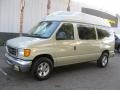 Gold Ash Metallic - E Series Van E150 Passenger Conversion Photo No. 3