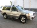 1999 Sierra Silver Metallic Nissan Pathfinder SE  photo #1