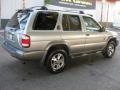 1999 Sierra Silver Metallic Nissan Pathfinder SE  photo #6