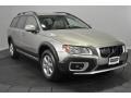 Oyster Grey Metallic - XC70 AWD Photo No. 7