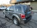 Sterling Gray Metallic - Escape Limited 4WD Photo No. 2