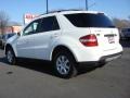Alabaster White - ML 350 4Matic Photo No. 5