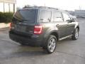 Black Pearl Slate Metallic - Escape XLT V6 4WD Photo No. 6