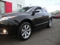 2010 Crystal Black Pearl Acura ZDX AWD Technology  photo #2