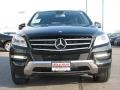 Black - ML 350 4Matic Photo No. 2
