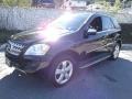 Black - ML 350 Photo No. 6