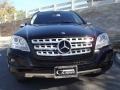 Black - ML 350 Photo No. 7