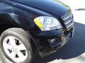 Black - ML 350 Photo No. 9