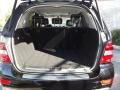 Black - ML 350 Photo No. 19