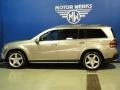 2008 Pewter Metallic Mercedes-Benz GL 550 4Matic  photo #5