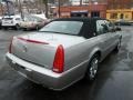 Light Platinum - DTS Sedan Photo No. 5