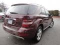 2010 Barolo Red Metallic Mercedes-Benz ML 350 4Matic  photo #10