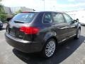 Lava Grey Pearl Effect - A3 2.0T Photo No. 7