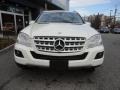 Arctic White - ML 350 4Matic Photo No. 2