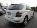 Arctic White - ML 350 4Matic Photo No. 10